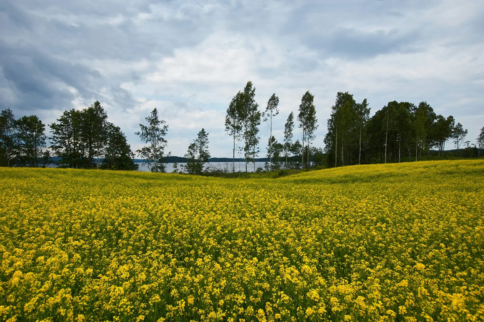 fukt fritt Halland - tryggt hem. frisk luft