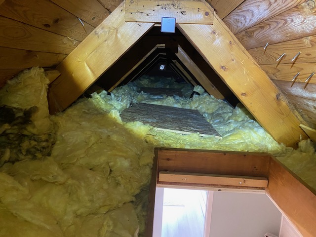 Mögel på råspont – orsaker, risker och åtgärder